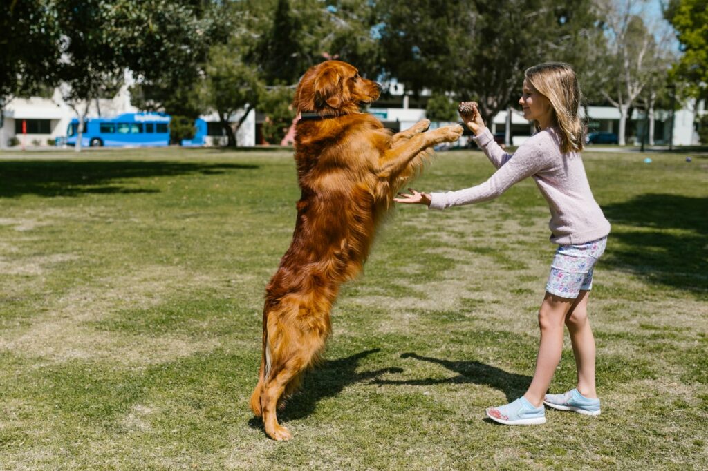 Dziedziny sportu, które można uprawiać razem z psem